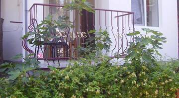 Фотографии Гостиница Guest House Kiparis г. Алушта Крым (Россия) №3 Фото Гостиница Guest House Kiparis г. Алушта 3