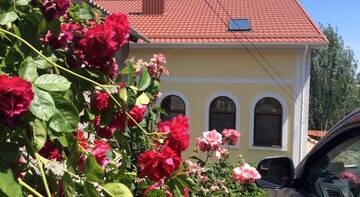Фотографии Гостиница Guest House on Artilleriyskaya г. Алушта Крым (Россия) №1 Фото Гостиница Guest House on Artilleriyskaya г. Алушта 1