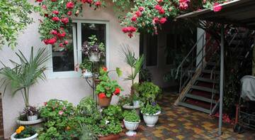 Фотографии Гостиница Guest House Gorkogo 60 г. Алушта Крым (Россия) №2 Фото Гостиница Guest House Gorkogo 60 г. Алушта 2