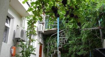 Фотографии Гостевой дом Волна г. Алушта Крым (Россия) №2 Фото Гостевой дом Волна г. Алушта 2