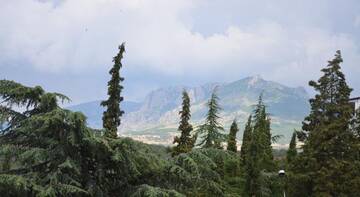 Фотографии Гостиница Кипарис г. Алушта Крым (Россия) №3 Фото Гостиница Кипарис г. Алушта 3