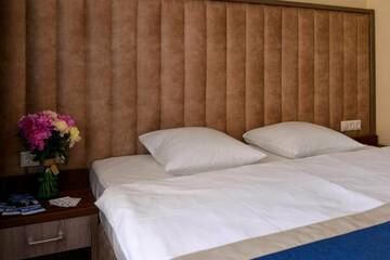 Фото номера Комфорт *** Гостиница Пансионат Нева г. Алушта 3