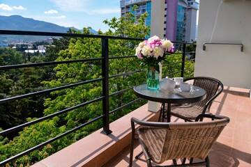 Фото номера Комфорт плюс *** Гостиница Пансионат Нева г. Алушта 15