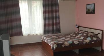 Фото номера Семейный номер с видом на море Гостевой дом Villa Violetta г. Алушта 3