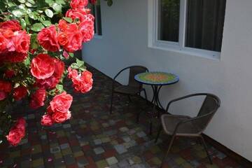 Фото Гостевой дом Парусник г. Алушта 3