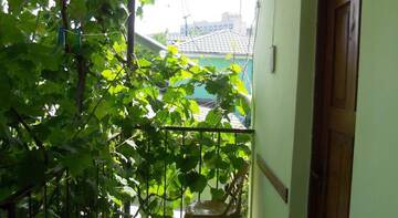 Фото номера Трехместный номер Гостиница Guest House na Baglikova 22a г. Алушта 5