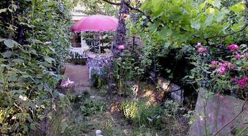 Фото Гостиница Guest house Pionerskaya 42 г. Алушта 3